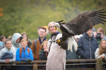 Valkenier in de voorjaarsvakantie
